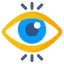 Vision